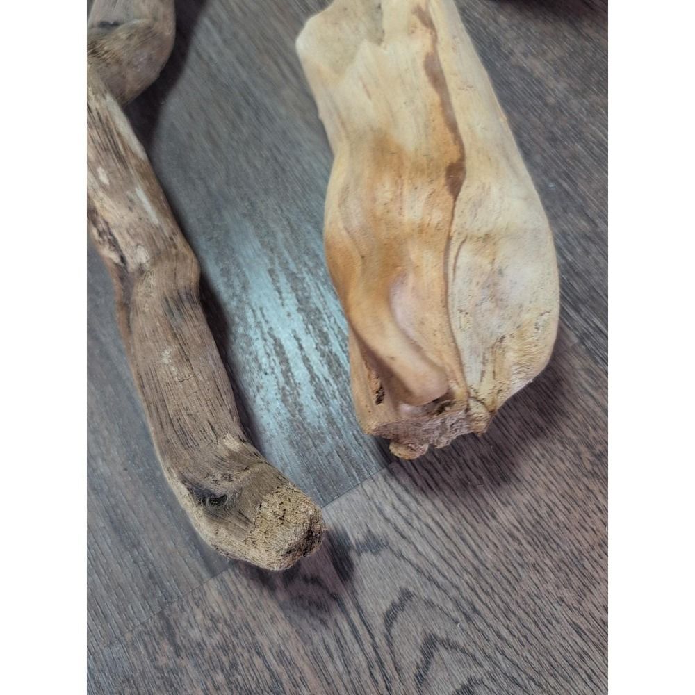 Driftwood So Cal CA Beach Ocean Wood Sculpture Art Crafts Garden Decor Lot Of 2 - Picture 13 of 15